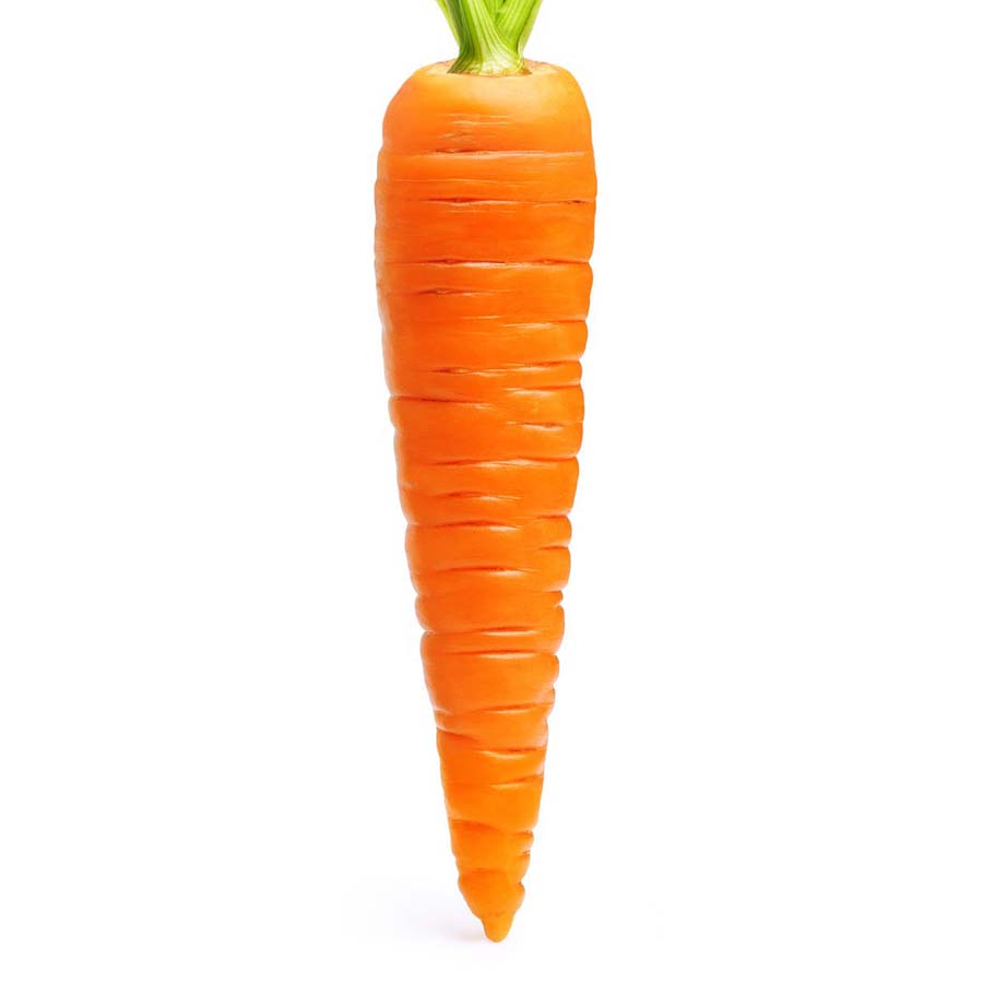 фото моркови на белом фоне